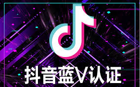 抖音蓝V号